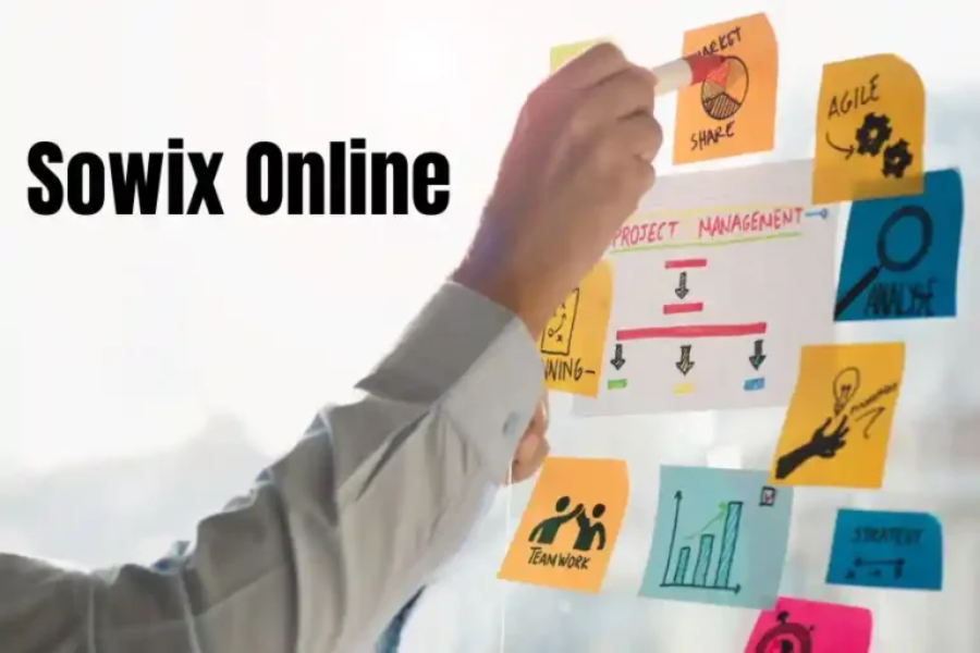 The Ultimate Guide to Getting Started with Sowix Online